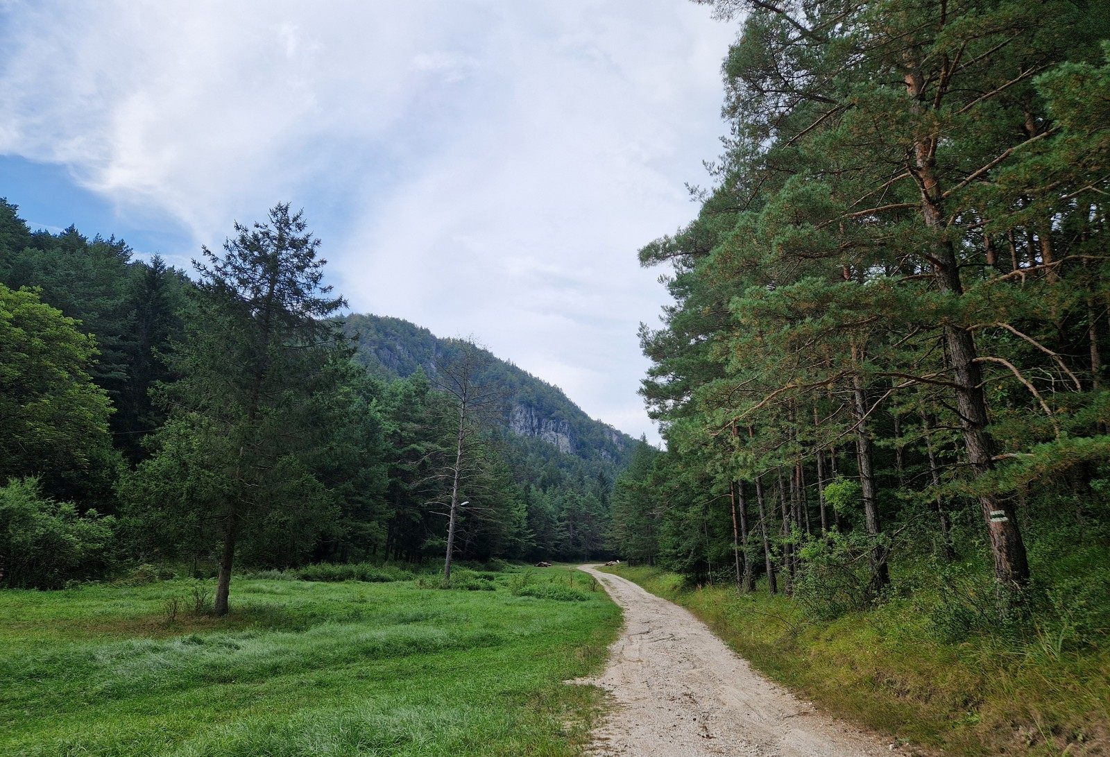 Lezecka oblast Durdove (0) pohlad na skaly od cesty