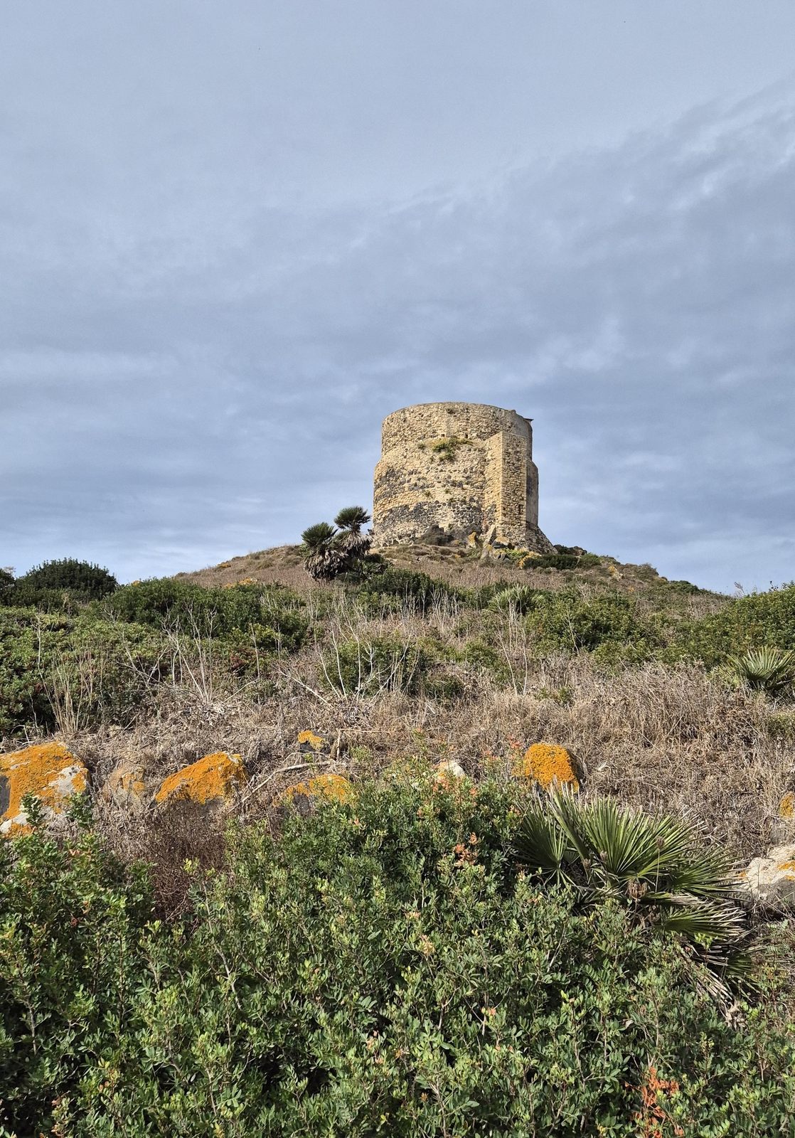 Capo San Marco na poloostrove Sinis, Sardinia (07)