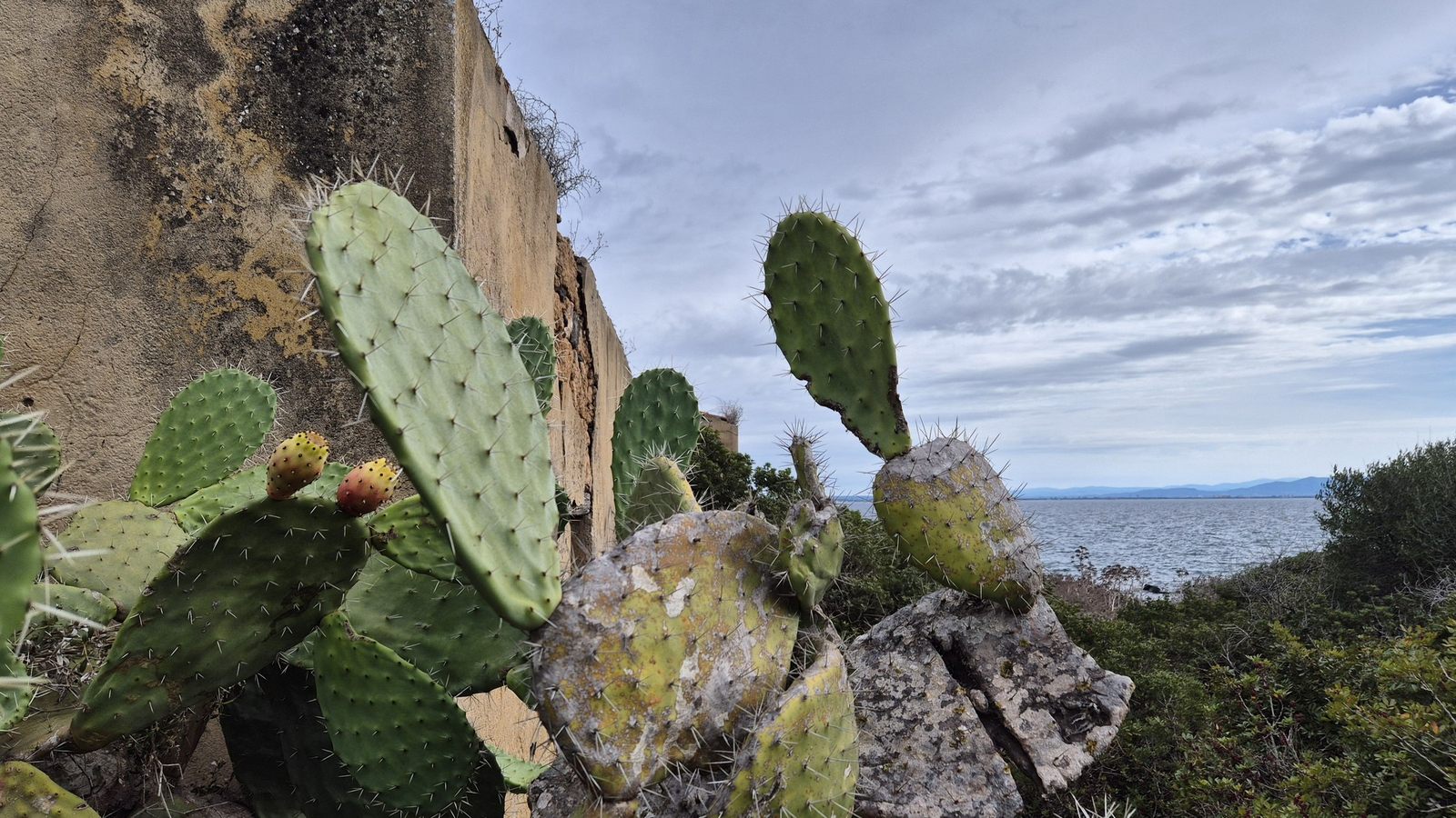 Capo San Marco na poloostrove Sinis, Sardinia (13)