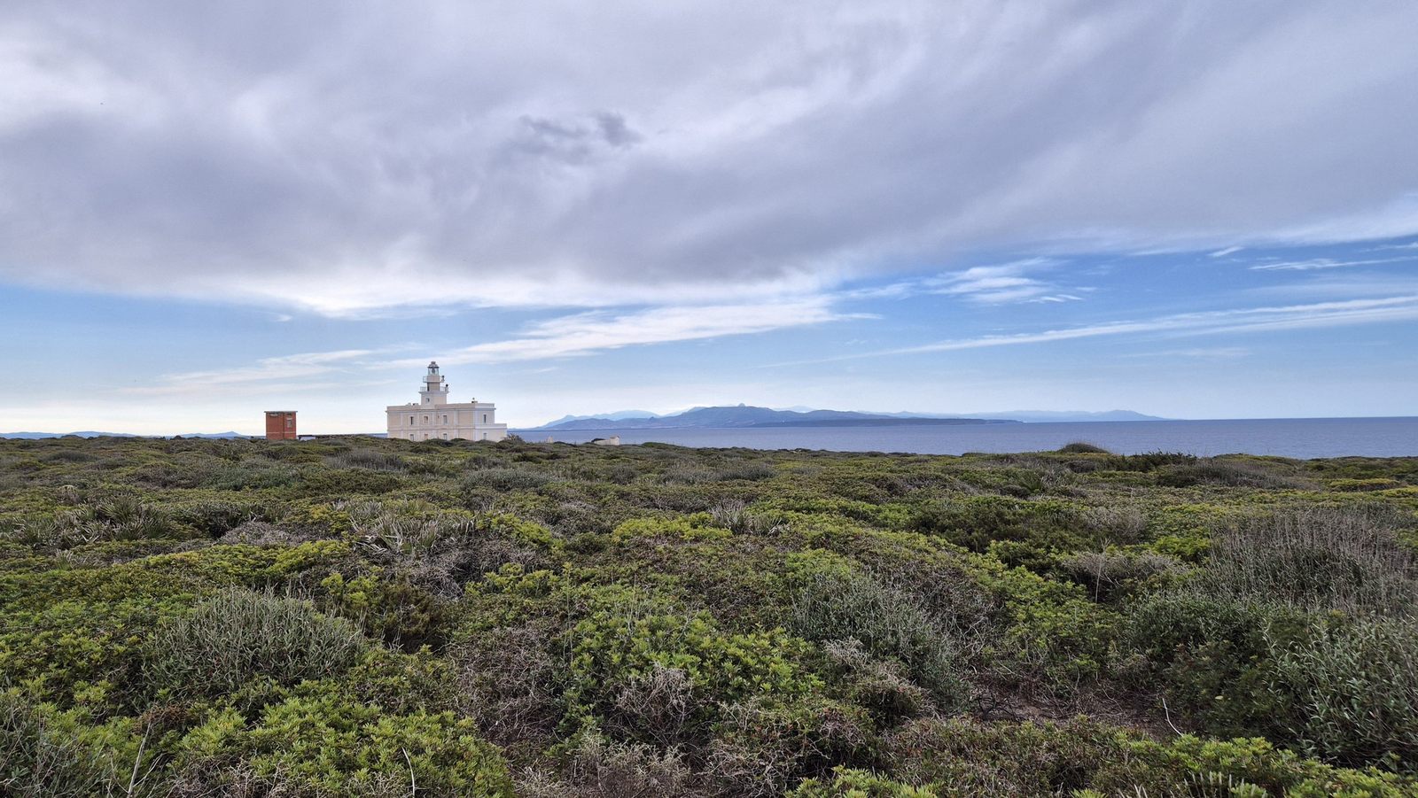 Capo San Marco na poloostrove Sinis, Sardinia (15)