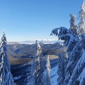 Skialp na Veľkej a Latiborskej holi (02) Výstup z Prievalca