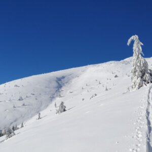 Skialp na Veľkej a Latiborskej holi (05)